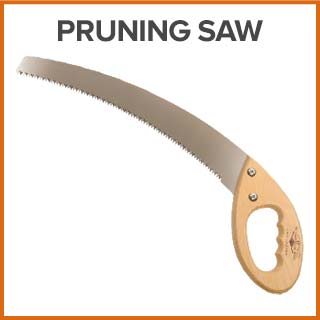 pruning saw