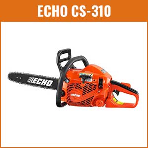 Echo CS 310 Review