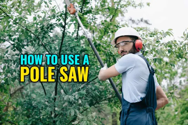 How To Use A Pole Saw Correctly (Step-By-Step Guide)