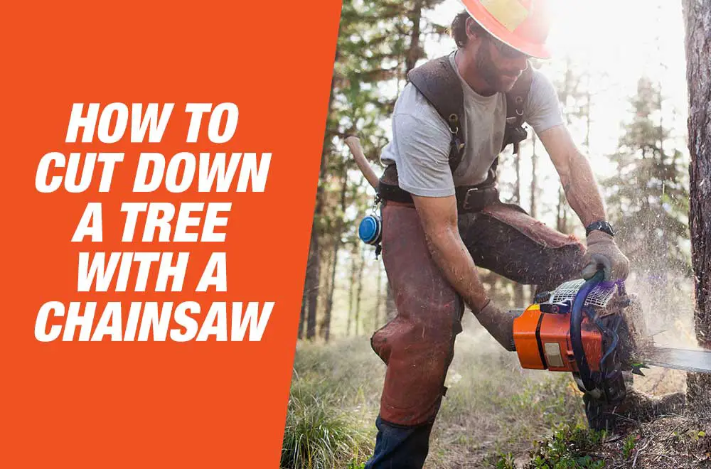 How To Cut Down A Tree With A Chainsaw