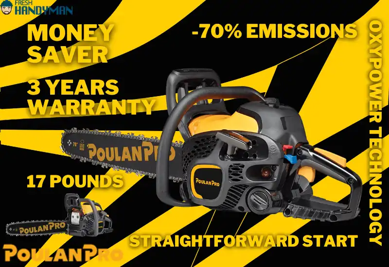 Poulan Pro PR5020 Gas Chainsaw