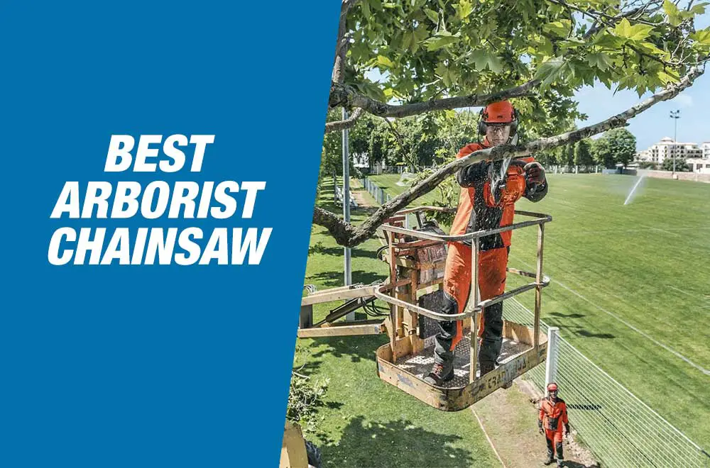 5 Best Arborist Chainsaws 2022 You Can Pick & Buy Blindly