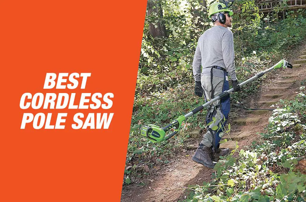 Best Cordless Pole Saws 2021 - Top Picks & Buying Guide - FreshHandyman