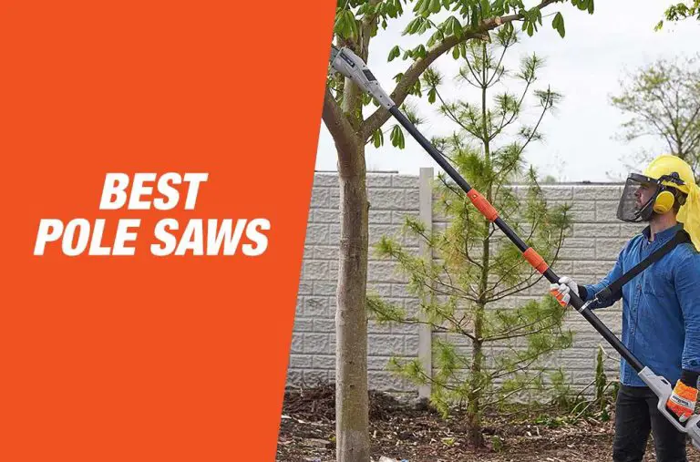 A Complete Guideline For The Best Pole Saws For Every Yard