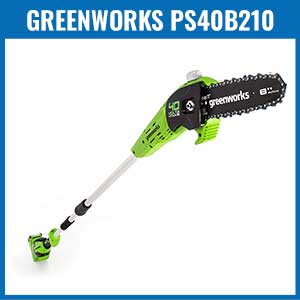 Greenworks PS40B210 Cordless Pole Saw