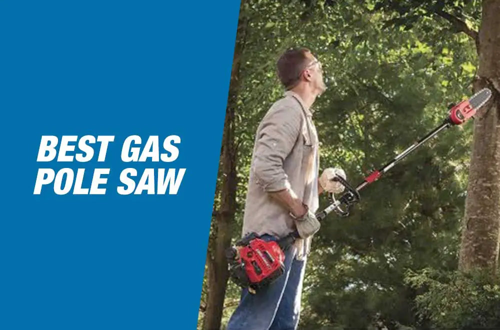 Best Gas Pole Saws Reviews in 2022 Top Picks & Buying Guide