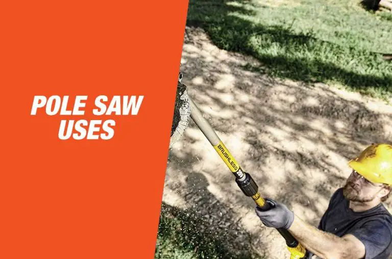 5 Most Common Pole Saw Uses