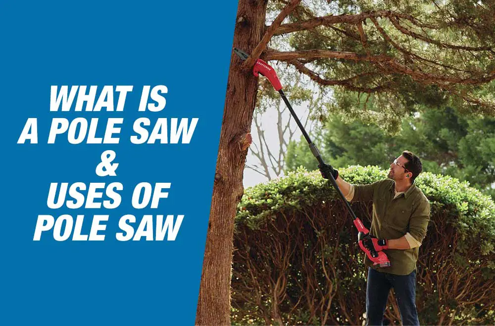 What Is A Pole Saw? FreshHandyman