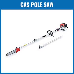 Gas Pole Saw