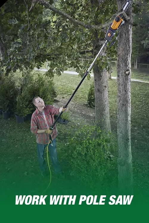 pole saw uses