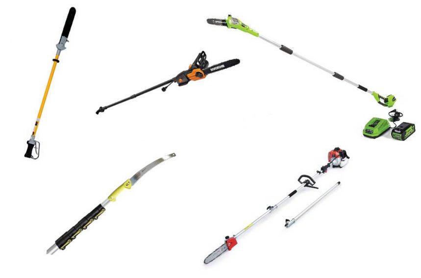 5 Common Pole Saw Uses From Cutting Branches to Bush Clearing