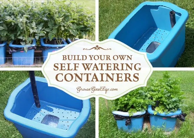 self-watering-planter