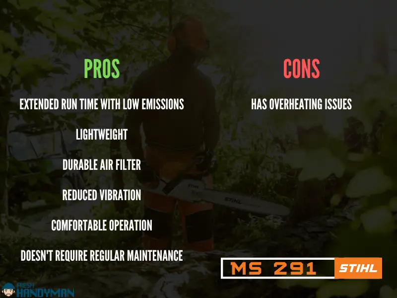 Pros and Cons of Stihl MS 291