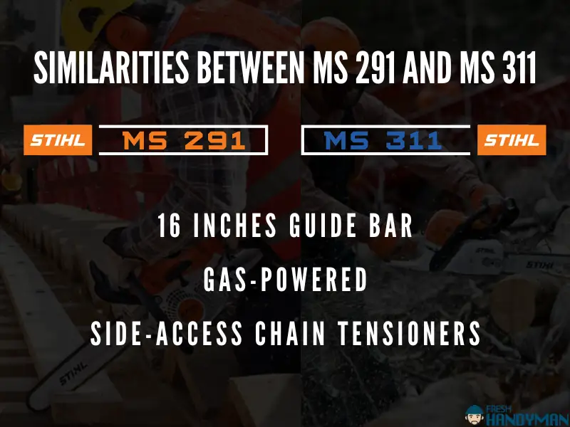 Similarities Between MS291 and MS311