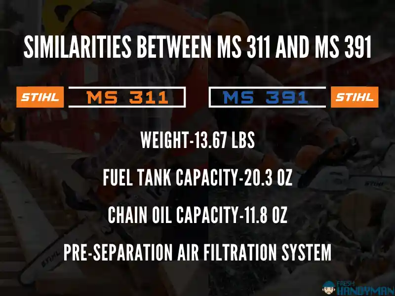 Similarities Between MS311 Vs MS391