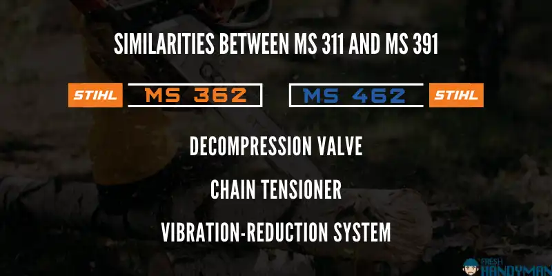 Similarities Between MS362 and MS462