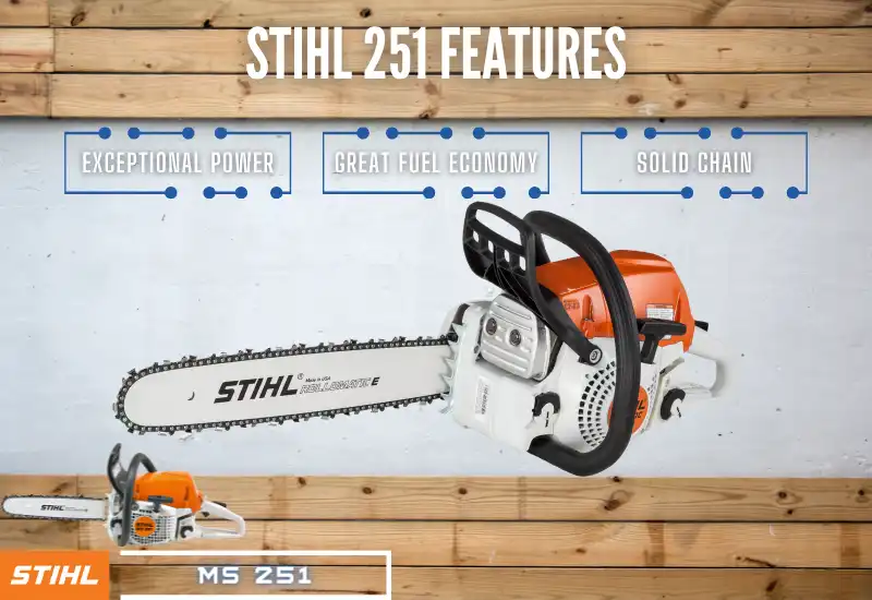 Features of Stihl MS 251