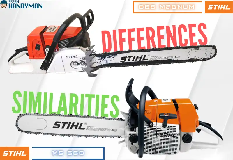 Similarities and Differences Between the Stihl 066 and MS 660 Chainsaws