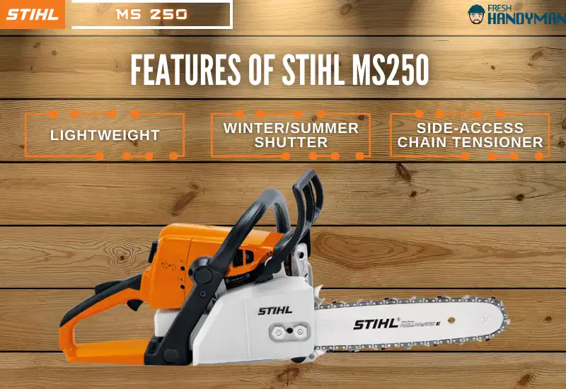 Features of STIHL MS250