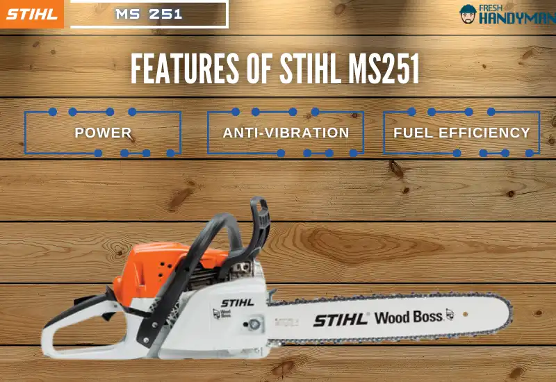 Features of STIHL MS251