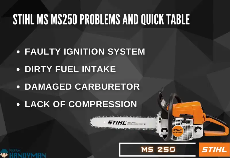 Stihl MS MS250 Problems and Quick Table