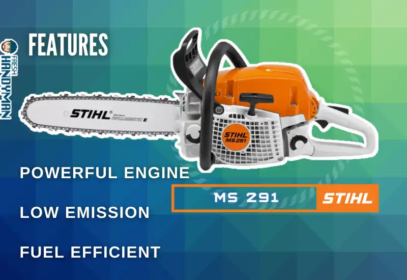 Features Of Stihl MS 291