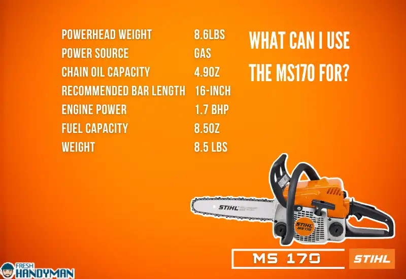 what can i use the ms170 for