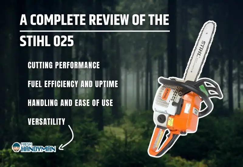 A Complete Review of the Stihl 025