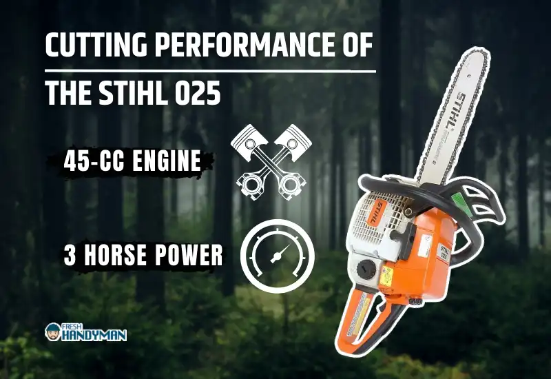 Cutting Performance of the Stihl 025