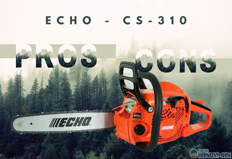 Echo CS 310 Pros and Cons