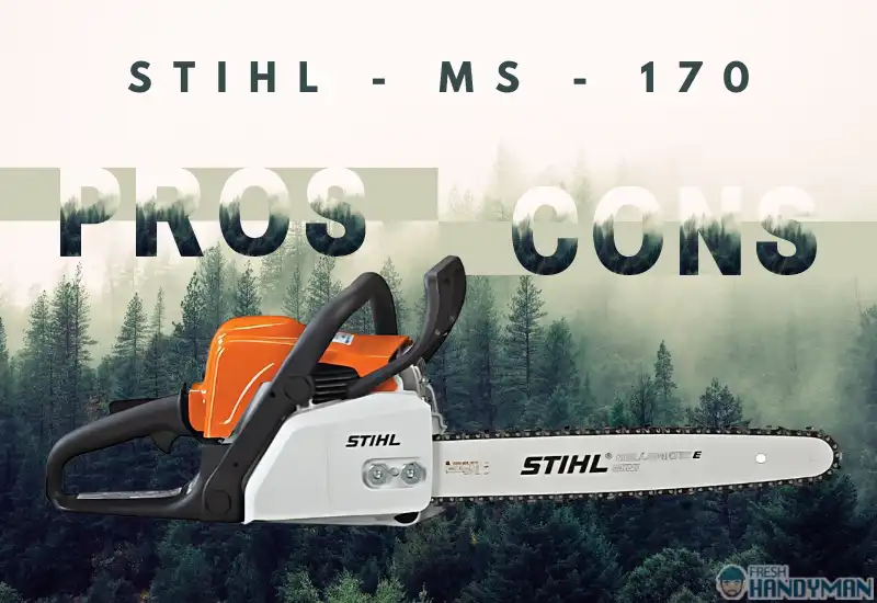 Stihl MS 170 Pros and Cons