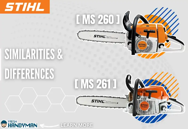 similarities & Differences of the Stihl 260 vs Stihl 261