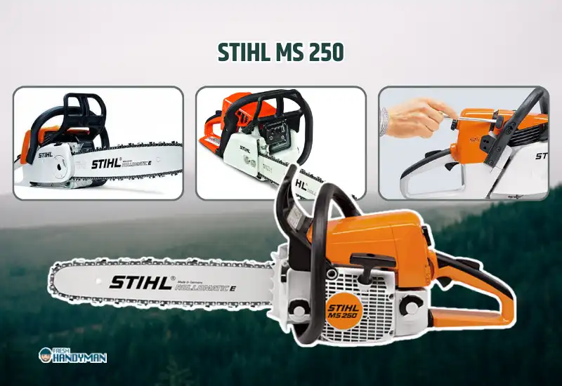 Stihl MS 250