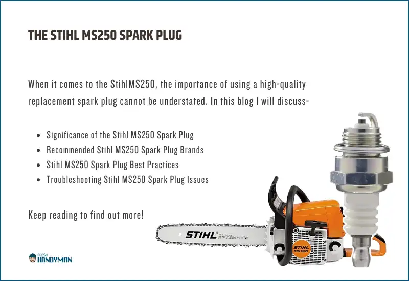 learn about stihl ms250 spark plug