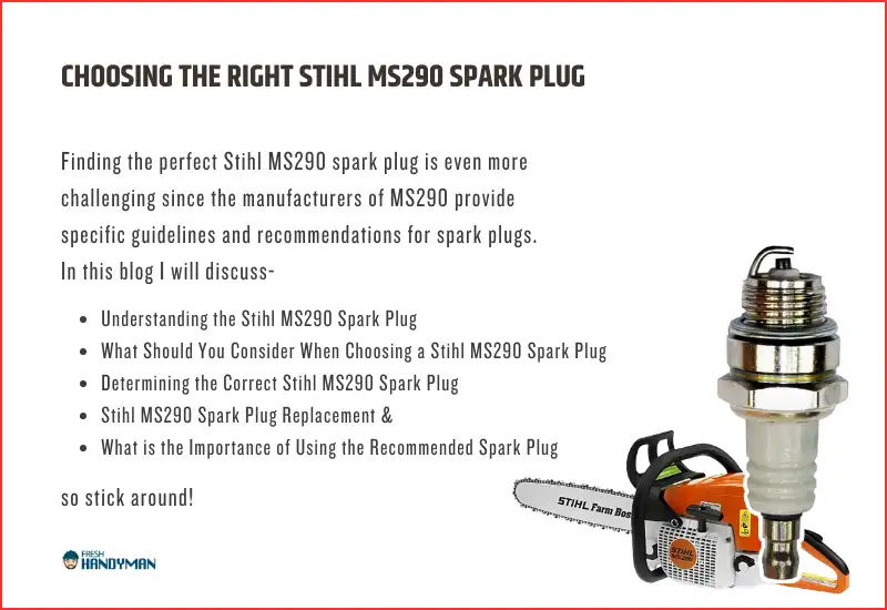 learn about stihl ms290 spark plug