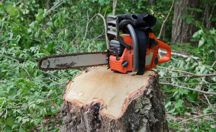 how to remove a stump with a chainsaw