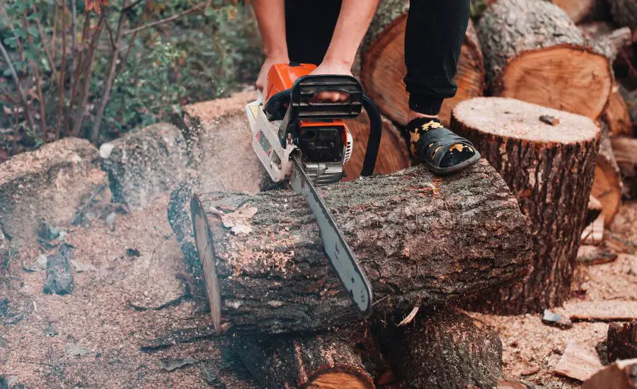 can you use a chainsaw on wet wood