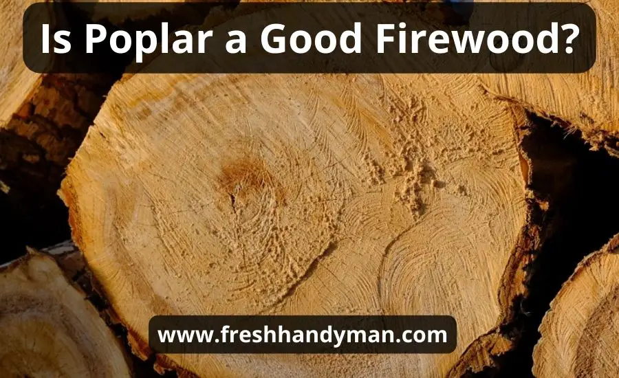 Is Poplar A Good Firewood: Top 5 Types & Basic Pros | Cons