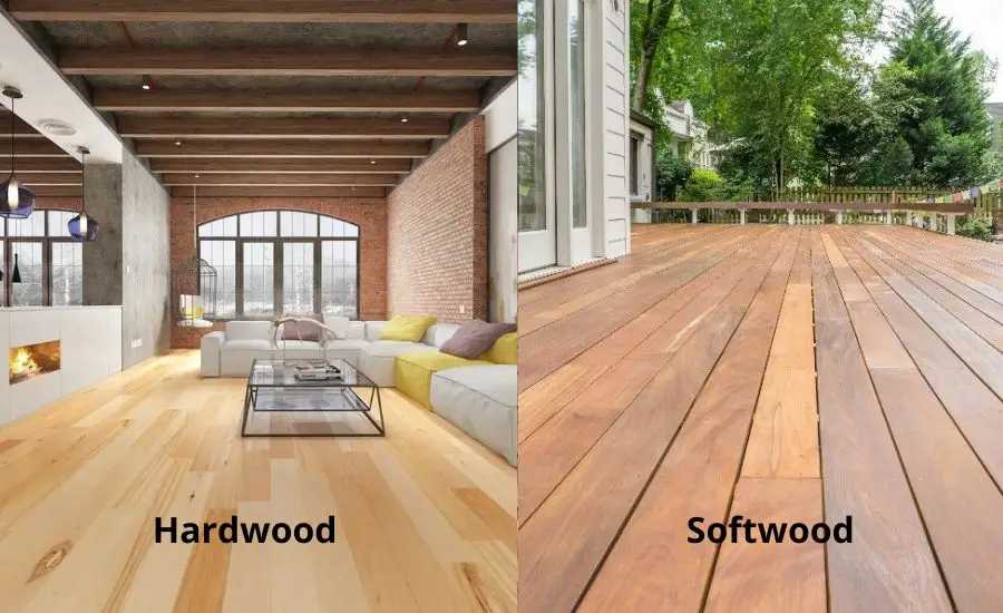 is birch a hardwood or a softwood