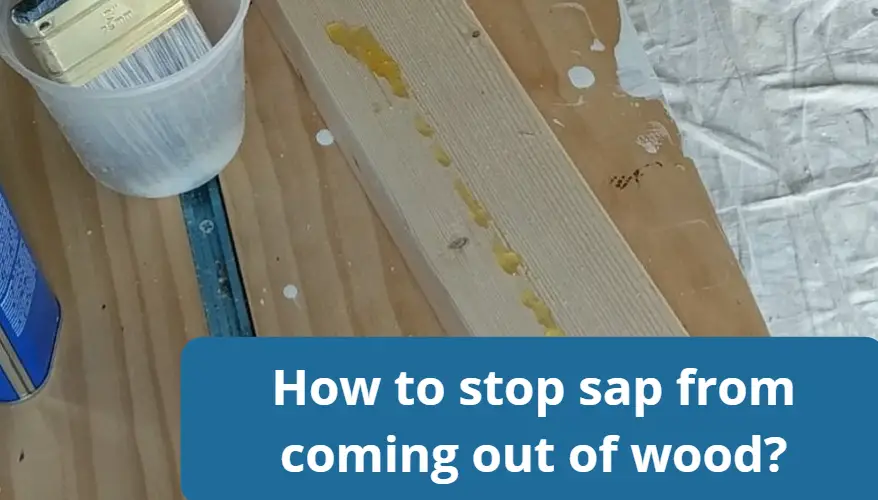 How to stop sap from coming out of wood?
