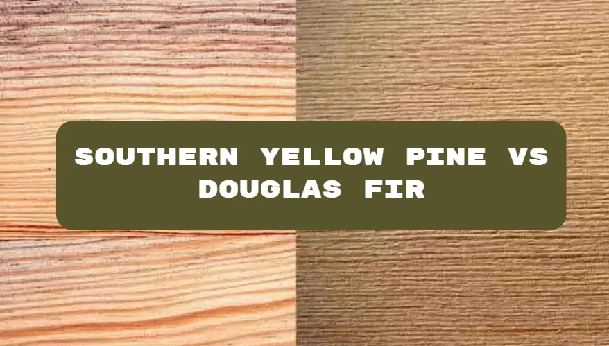 Southern yellow pine VS douglas fir