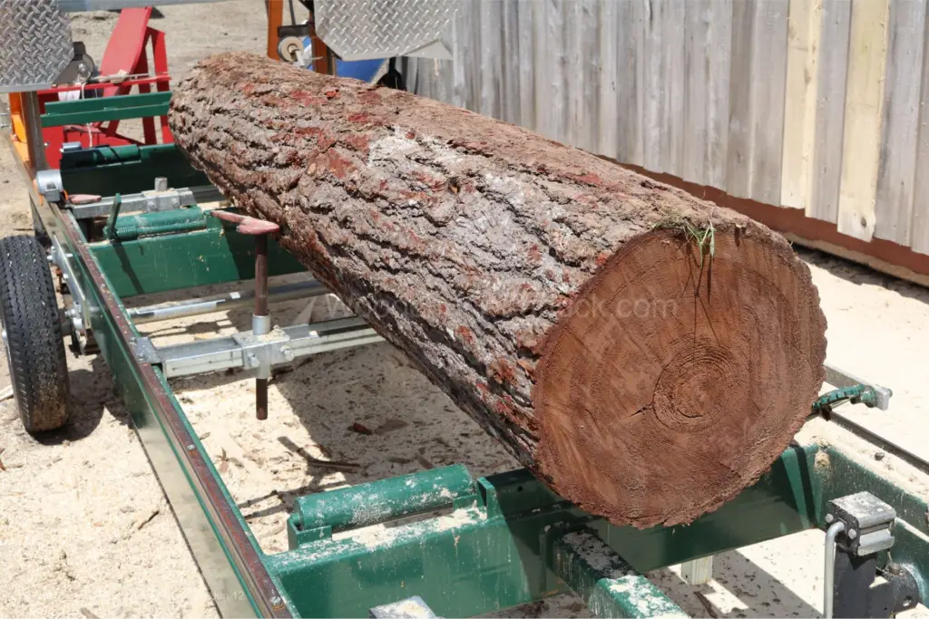 Hemlock wood disadvantages